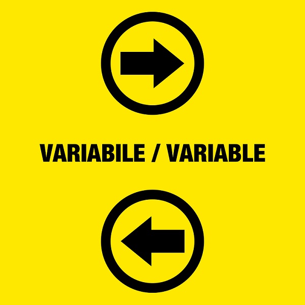 VARIABLE