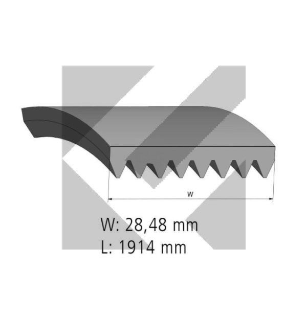 CINGHIA 8PK1914