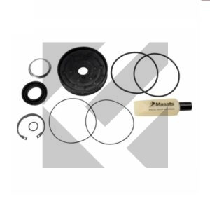 KIT REVISIONE CILINDRO D.100