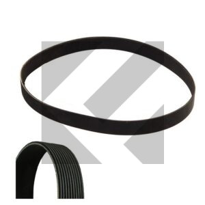CINGHIA POLY-V 10PK1815