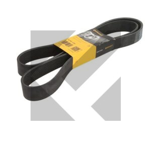 CINGHIA POLY-V 10PK1720